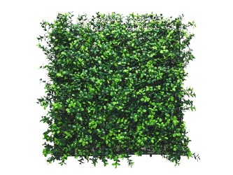 Puszpáng műanyag zöldfal 50x50 cm