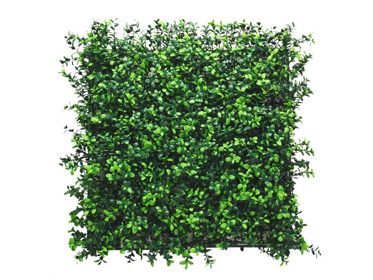 Puszpáng műanyag zöldfal 50x50 cm