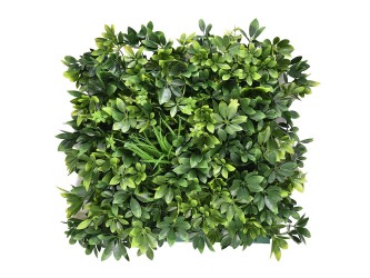 Arália műanyag zöldfal 50x50 cm