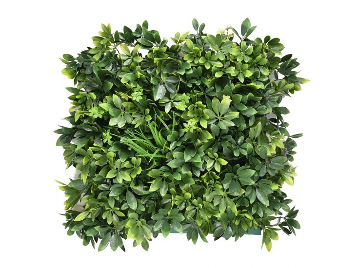 Arália műanyag zöldfal 50x50 cm
