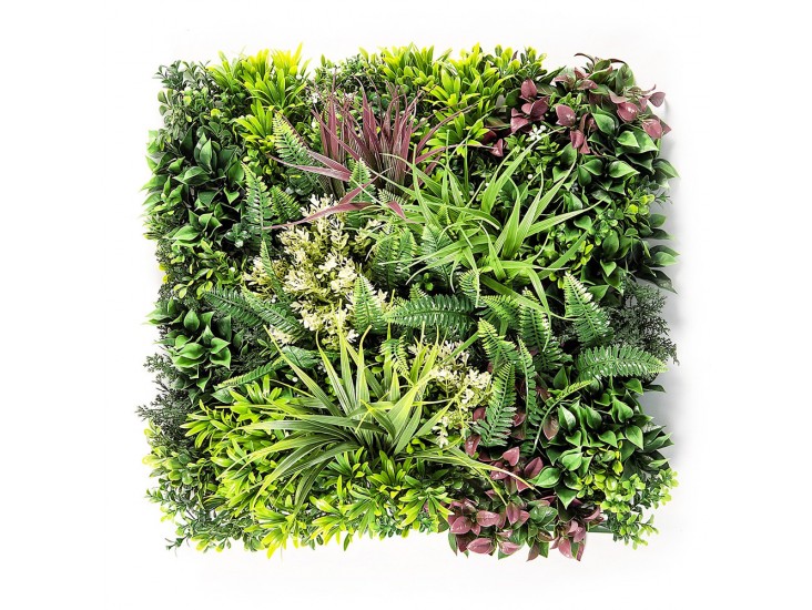 Essence III. műanyag zöldfal 50x50 cm