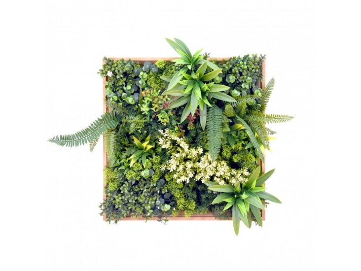 Harmonia II. műanyag zöldfal 50x50 cm