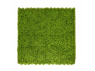 Moha műanyag zöldfal 50x50 cm