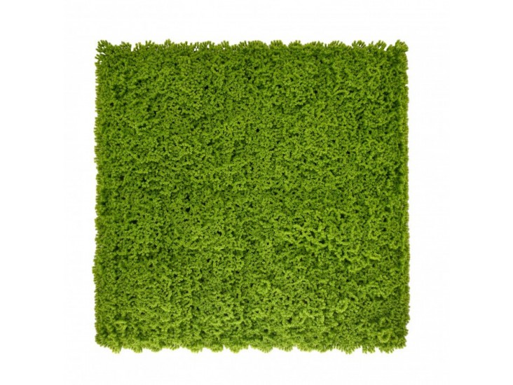 Moha műanyag zöldfal 50x50 cm