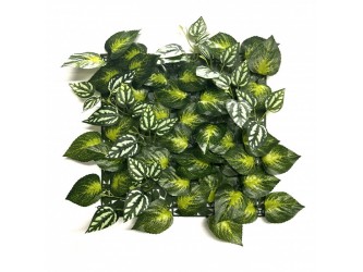 Aureus műanyag zöldfal 33x33 cm