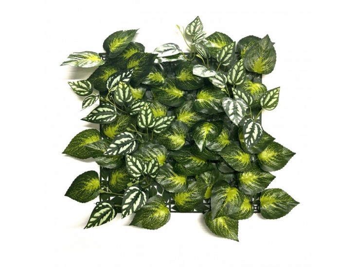 Aureus műanyag zöldfal 33x33 cm